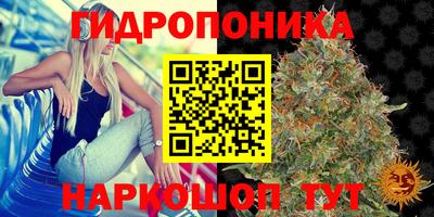 МДМА Новодвинск