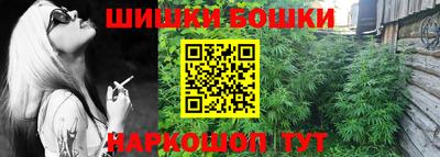 соль ск Новозыбков