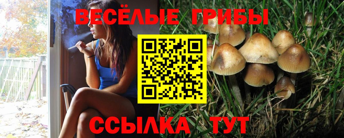 Славянск-на-Кубани  Псилоцибиновые грибы Magic Shrooms  Вход с VPN 